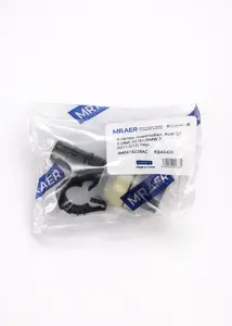 Клапана пневмобаллона Audi SQ7 4M 2016-2025 4M0616039AC
