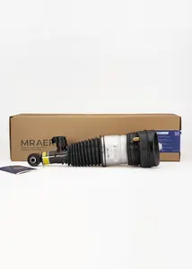 Пневмостойки LiXiang L9 L9 2022-н.в. X01-29150079
