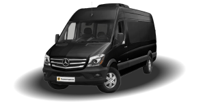 W906 2006-2018