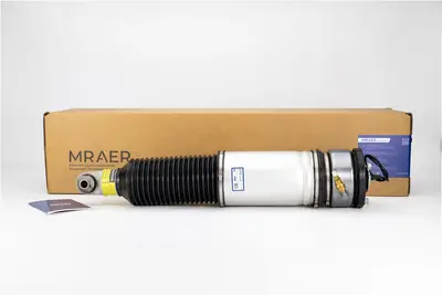 Пневмостойки BMW 7 Series IV (E65 , E66) 2001-2008 37126785535