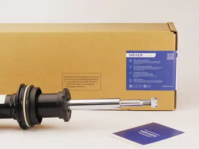 Амортизаторы BMW X5 I (E53) 1999-2006 37116757502; 37116761444; DG1000; DG10002A; LNSK1128; LNSK1129 — фото 3